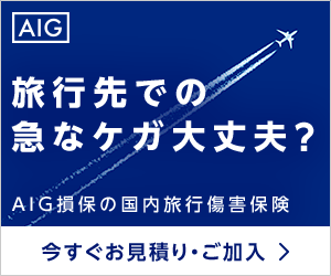 AIG損保の国内旅行障害保険