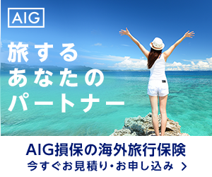 AIG損保の海外旅行障害保険